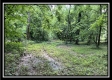 The Cabin at Sunfish Creek property photo