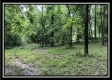 The Cabin at Sunfish Creek property photo
