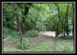 The Cabin at Sunfish Creek property photo