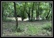 The Cabin at Sunfish Creek property photo