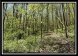 Tract 3 - The Woods at Sunfish Creek property photo
