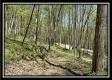 Tract 3 - The Woods at Sunfish Creek property photo