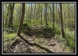 Tract 3 - The Woods at Sunfish Creek property photo