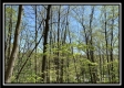 Tract 3 - The Woods at Sunfish Creek property photo
