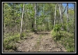 Tract 3 - The Woods at Sunfish Creek property photo