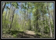 Tract 3 - The Woods at Sunfish Creek property photo