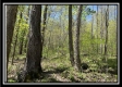 Tract 3 - The Woods at Sunfish Creek property photo