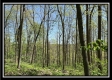 Tract 3 - The Woods at Sunfish Creek property photo