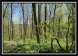 Tract 3 - The Woods at Sunfish Creek property photo