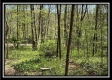 Tract 3 - The Woods at Sunfish Creek property photo