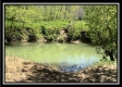 Tract 3 - The Woods at Sunfish Creek property photo