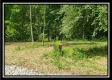 Tract 1 – Perry Retreat property photo