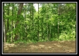 Tract 1 – Perry Retreat property photo