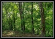 Tract 1 – Perry Retreat property photo