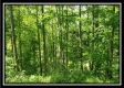 Tract 1 – Perry Retreat property photo
