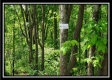 Tract 1 – Perry Retreat property photo