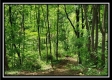 Tract 1 – Perry Retreat property photo