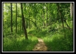 More of Tract 1 – Perry Retreat