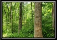 Tract 1 – Perry Retreat property photo
