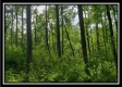 Tract 1 – Perry Retreat property photo
