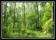 Tract 1 – Perry Retreat property photo