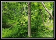 Tract 1 – Perry Retreat property photo