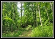 Tract 1 – Perry Retreat property photo