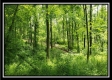 Tract 1 – Perry Retreat property photo