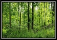 Tract 1 – Perry Retreat property photo