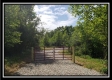More of Tract 1 – Perry Retreat
