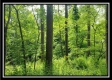 Tract 1 – Perry Retreat property photo