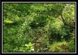 Tract 1 – Perry Retreat property photo