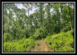 Tract 1 – Perry Retreat property photo