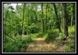 Tract 1 – Perry Retreat property photo