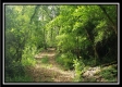 Tract 1 – Perry Retreat property photo