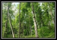 Tract 1 – Perry Retreat property photo