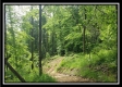 Tract 1 – Perry Retreat property photo