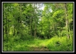 Tract 1 – Perry Retreat property photo