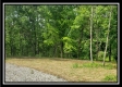 More of Tract 1 – Perry Retreat