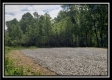 Tract 1 – Perry Retreat property photo