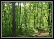 Tract 1 – Perry Retreat property photo