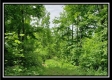 Tract 3 - Perry Retreat property photo