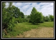Tract 3 - Perry Retreat property photo