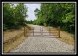 More of Tract 3 - Perry Retreat