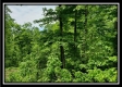 Tract 3 - Perry Retreat property photo