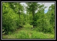 Tract 3 - Perry Retreat property photo