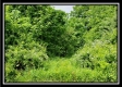 Tract 3 - Perry Retreat property photo