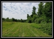 Tract 3 - Perry Retreat property photo