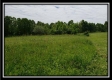 More of Tract 3 - Perry Retreat