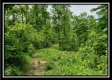 Tract 3 - Perry Retreat property photo